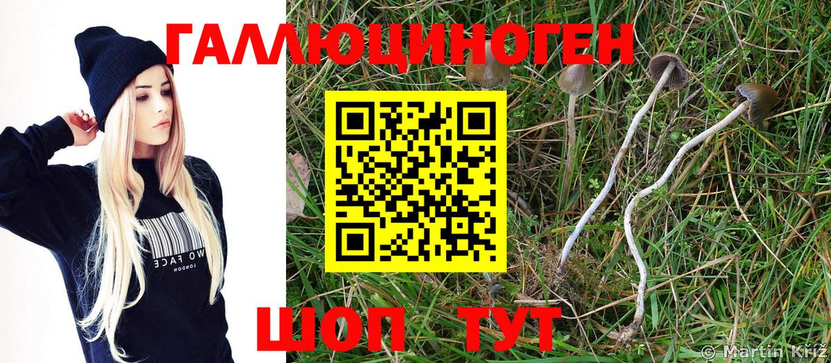 Псилоцибиновые грибы MAGIC MUSHROOMS Солнечногорск