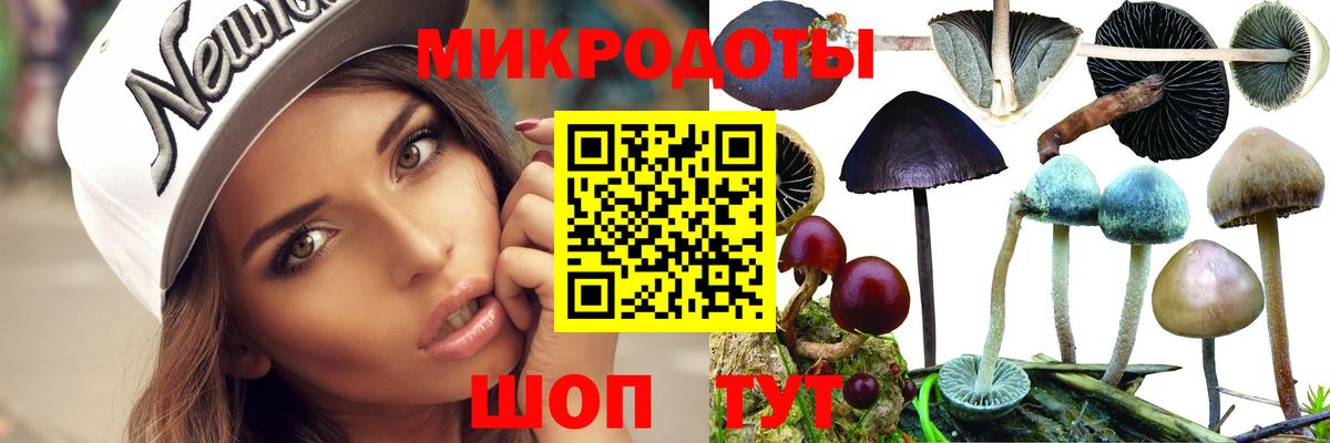 Галлюциногенные грибы Psilocybe  Вход с VPN  Солнечногорск 